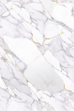 Calacatta Gold — Gold Series Stenski Panel 260x122cm