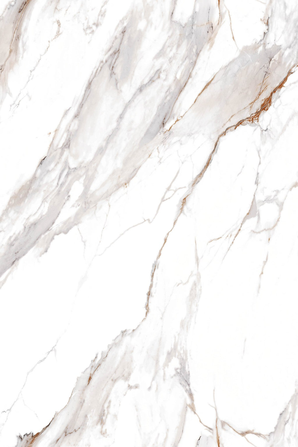 Calacatta Oro — High Gloss Stenski Panel 260x122cm