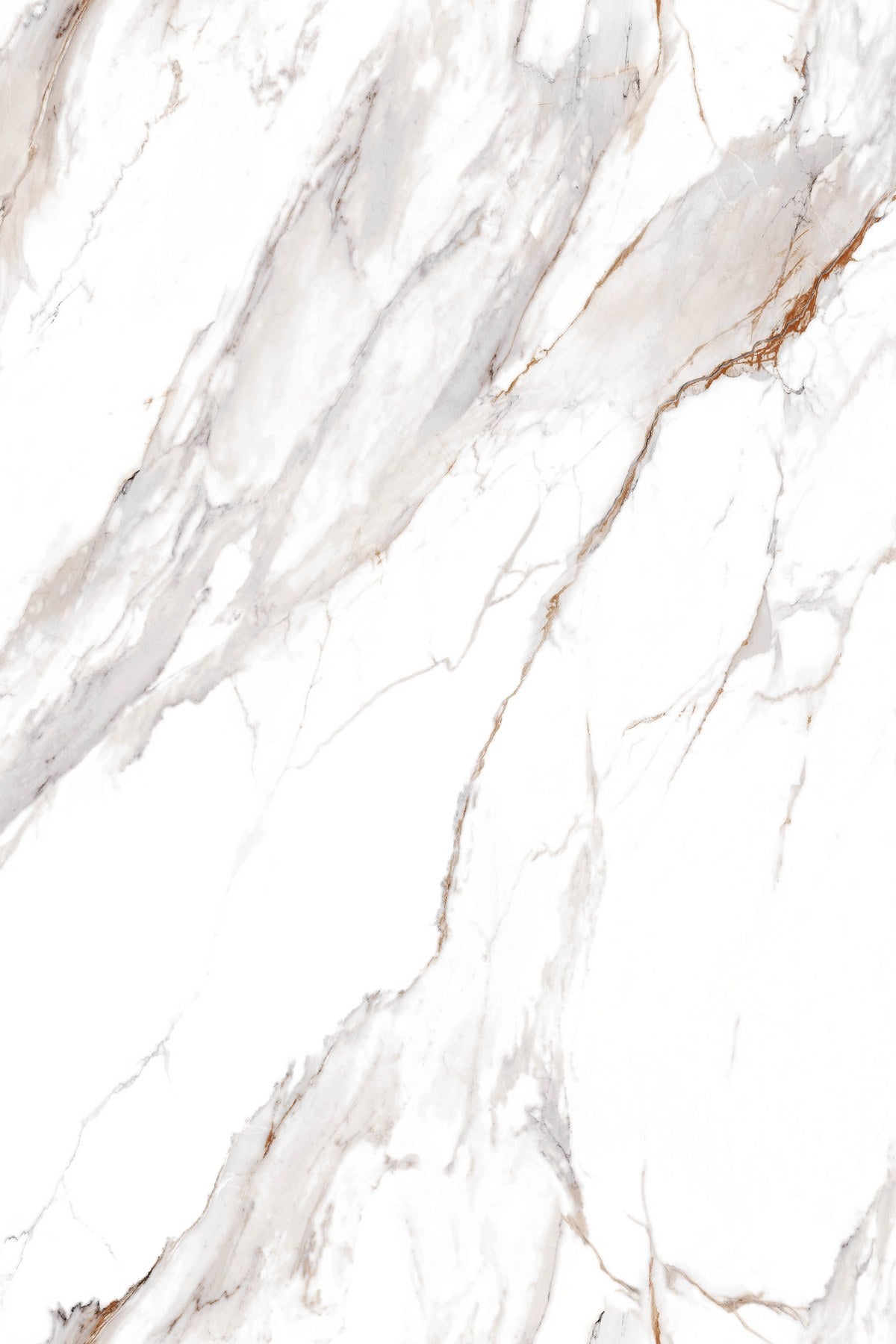 Calacatta Oro — High Gloss Stenski Panel 260x122cm